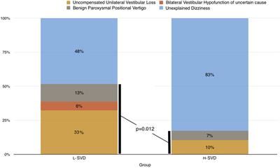 Aging with Cerebral Small Vessel Disease and Dizziness: The Importance of Undiagnosed Peripheral Vestibular Disorders